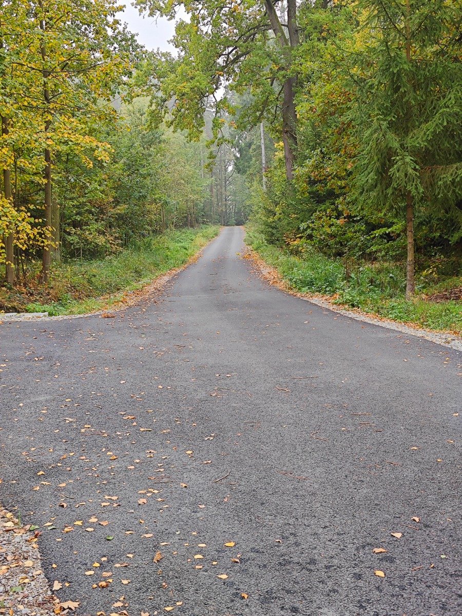 REKONSTRUKCE LESNÍ CESTY ,,VRÁŽ" V OBCI DUBNÉ NA PARC. C. 425/1, 879, 420/1 A 1397 V K. Ú. KRENOVICE